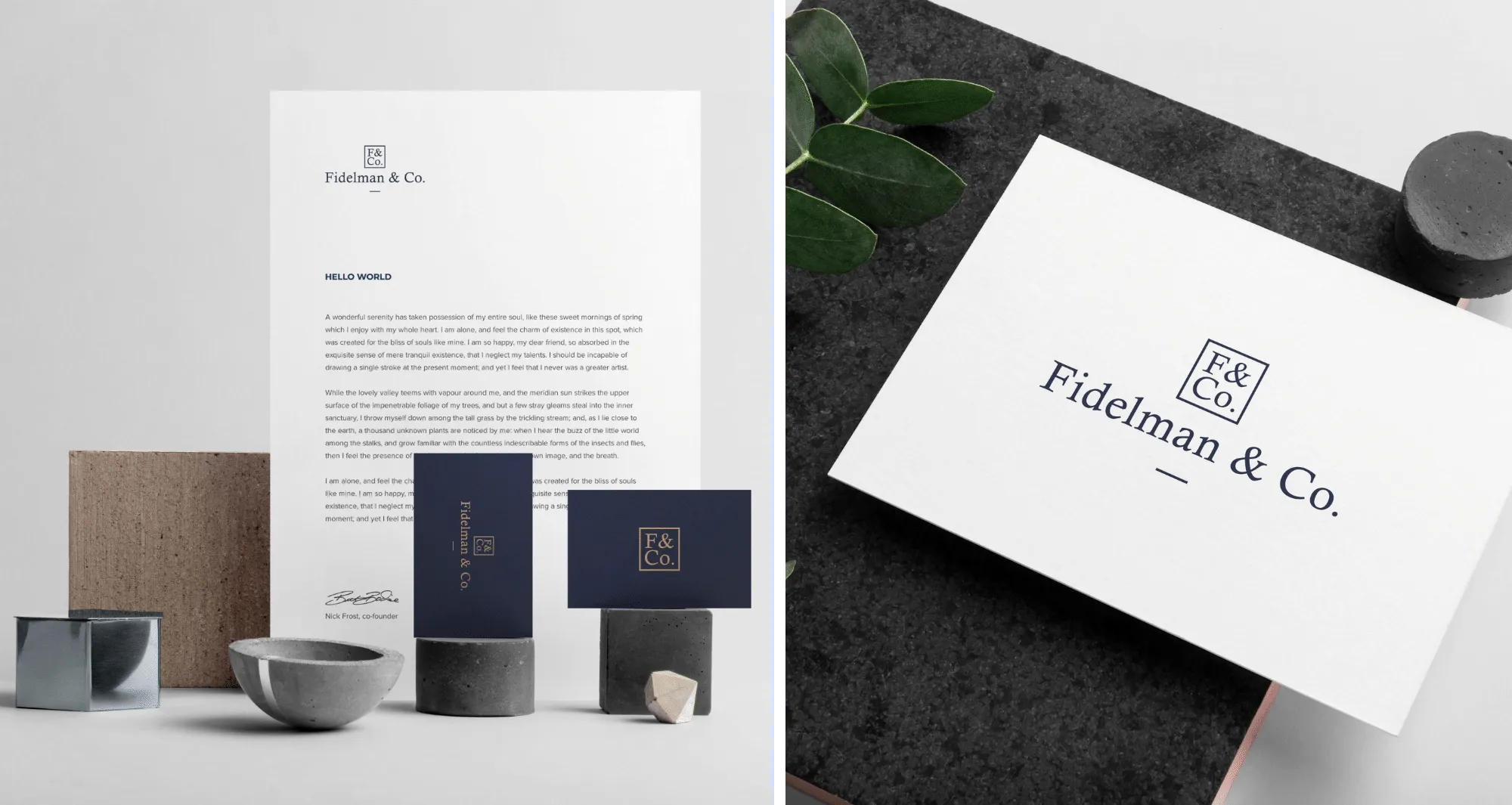 Fidelman & Co. visual identity